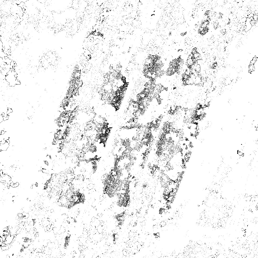 Still images taken from an animation. Each still shows the word typo distorted to varrying degrees of legibility.